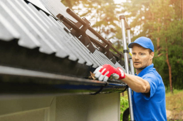 wyoming gutter service